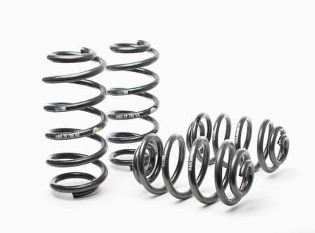 HR Sport Springs-image-Image