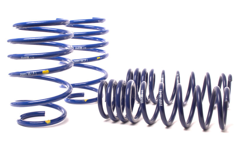 HR Sport Springs-image-Image