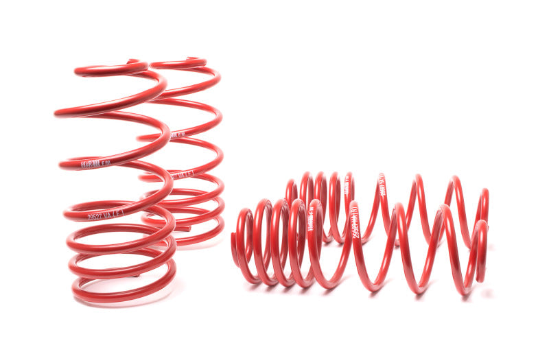 HR Race Springs-image-Image