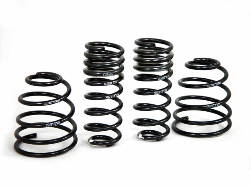 HR Sport Springs-image-Image