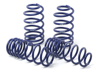 HR Race Springs