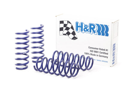 HR Sport Springs-image-Image